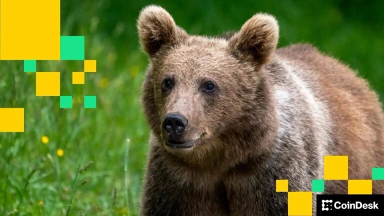 btc-market-now-‘extremely-bearish,’-says-qcp:-asia-morning-briefing