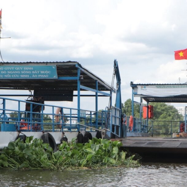 khoi-phuc-pha-binh-quoi,-cuu-ket-xe-cau-binh-trieu