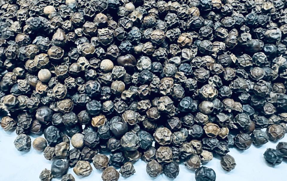 thu-ve-1,4-ty-usd,-xuat-khau-‘vang-den’-sap-pha-ky-luc-lich-su