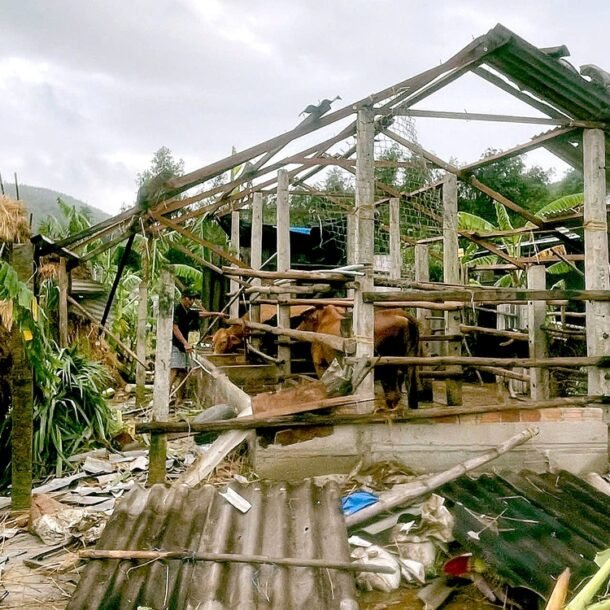 loc-xoay-quet-qua-ngoi-lang-o-quang-ngai,-nhieu-mai-nha-bi-xe-toac