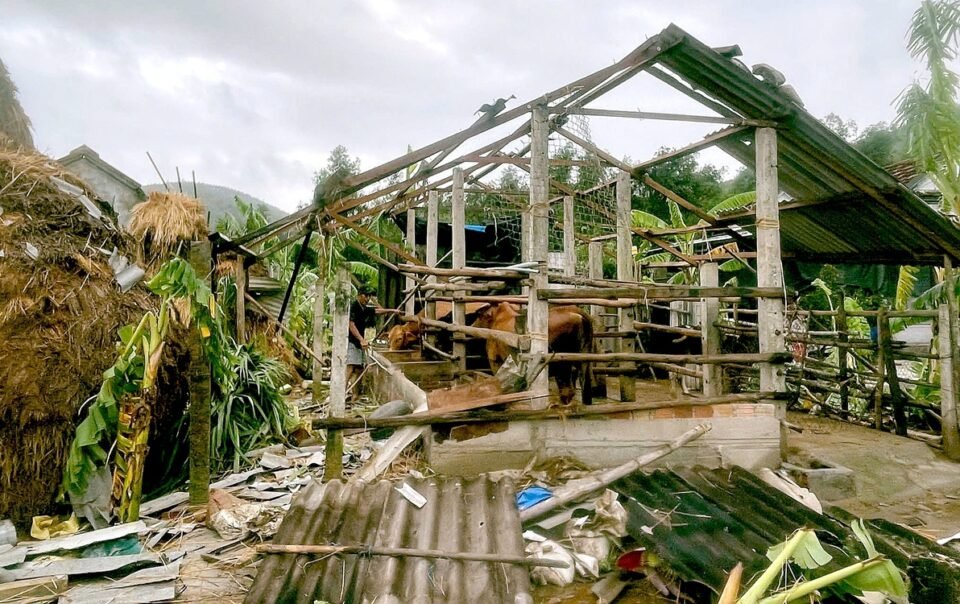 loc-xoay-quet-qua-ngoi-lang-o-quang-ngai,-nhieu-mai-nha-bi-xe-toac