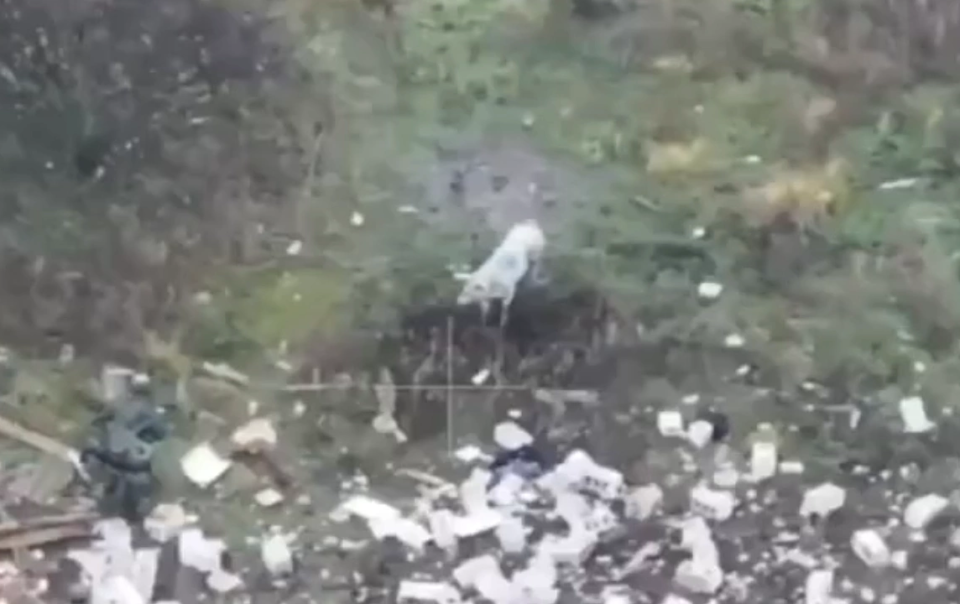 giay-phut-con-lon-vo-tinh-cuu-mang-binh-si-nga