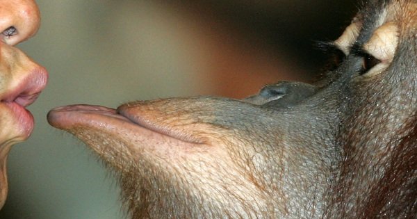 nu-h&ocirc;n-dau-ti&ecirc;n-tu-20-trieu-nam-truoc,-kh&ocirc;ng-phai-o-nguoi