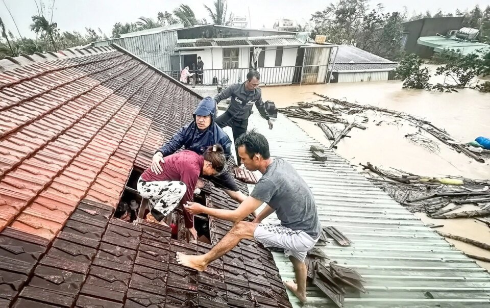 hang-chuc-nghin-nha-dan-chim-trong-lu-lich-su-hon-30-nam