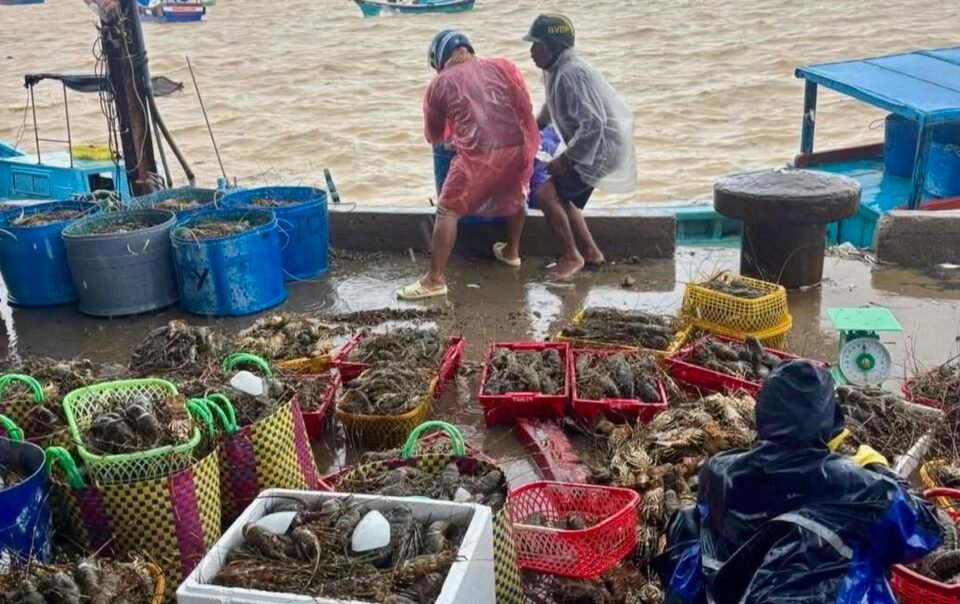 tom-hum-chet-hang-loat-do-soc-nuoc-lu,-nhieu-khu-vuc-ngap-sau-dan-doi-ung-cuu-tai-dak-lak