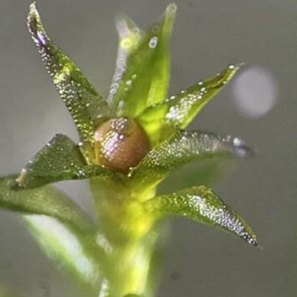 reu-song-sot-9-thang-ngoai-khong-gian,-khoa-hoc-sung-sot