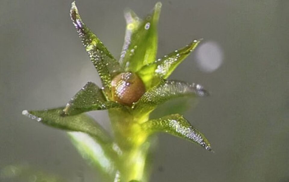 reu-song-sot-9-thang-ngoai-khong-gian,-khoa-hoc-sung-sot