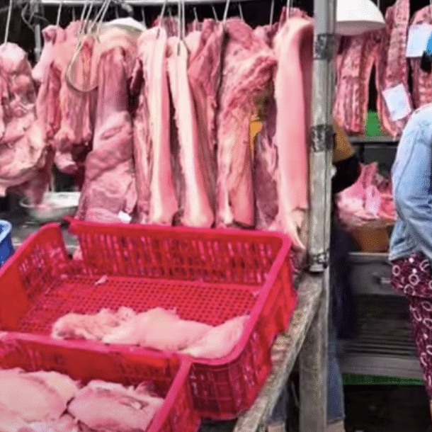 gia-heo-hoi-hom-nay-2411.2025:-giu-da-tang