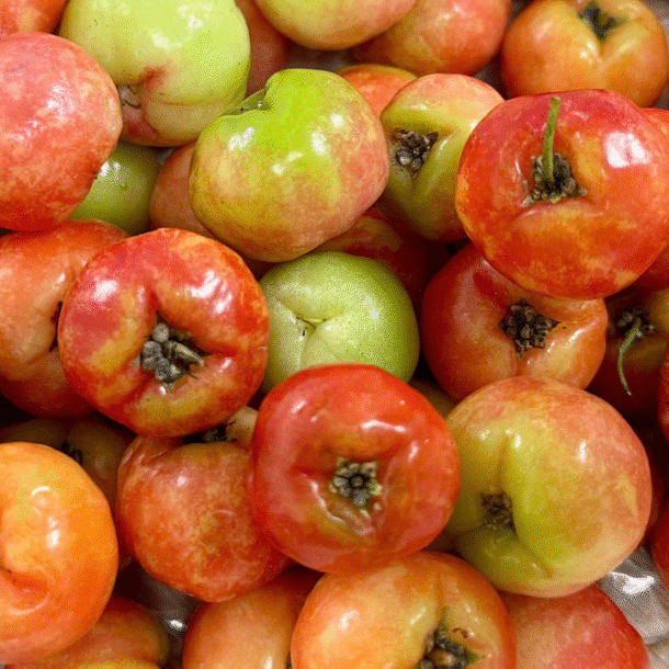 5-loi-ich-khi-an-so-ri-thuong-xuyen