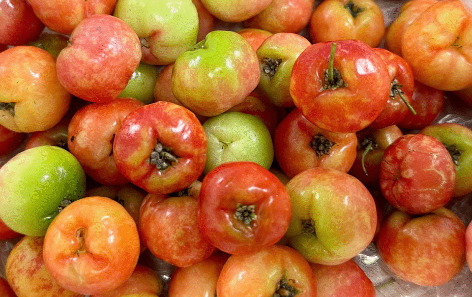 5-loi-ich-khi-an-so-ri-thuong-xuyen