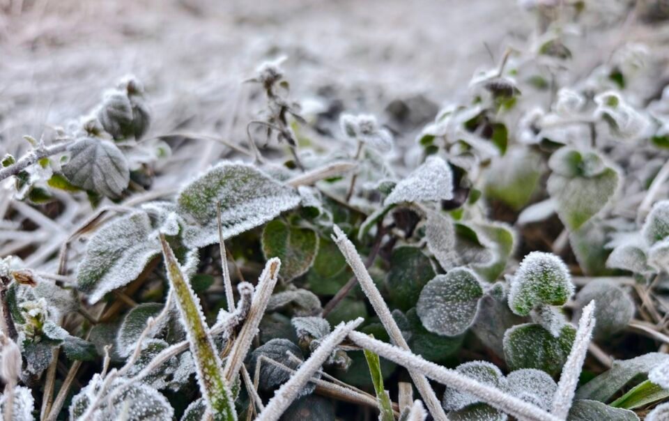 mien-bac-sang-nay-ret-nhat-2-do-c,-xuat-hien-suong-muoi