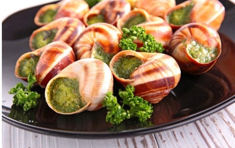 trang-trai-phap-mat-so-oc-sen-quy-gia-hon-2,7-ty-dong