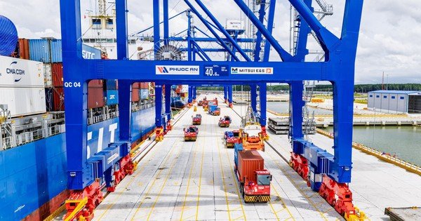 11-ca-nhan-du-mua-125-trieu-co-phieu-rieng-le-cua-cang-phuoc-an