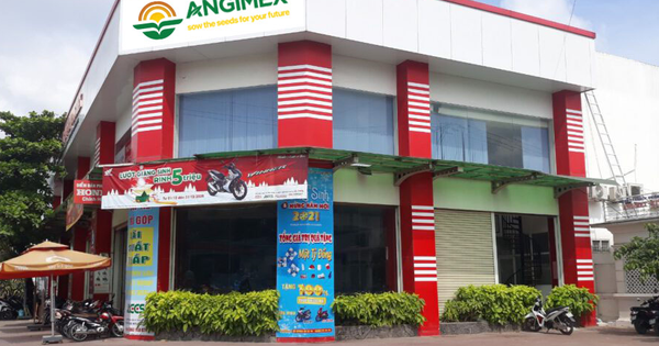 angimex-bi-xu-phat-do-vi-pham-cong-bo-thong-tin