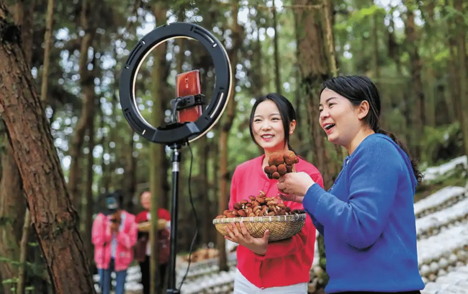 rung-vo-dung-hoa-'mo-vang-xanh':-bi-quyet-cua-nong-dan-ngheo-o-trung-quoc