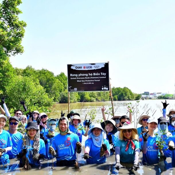 uob-viet-nam-khoi-dong-trong-10.000-cay-rung-phong-ho-ca-mau