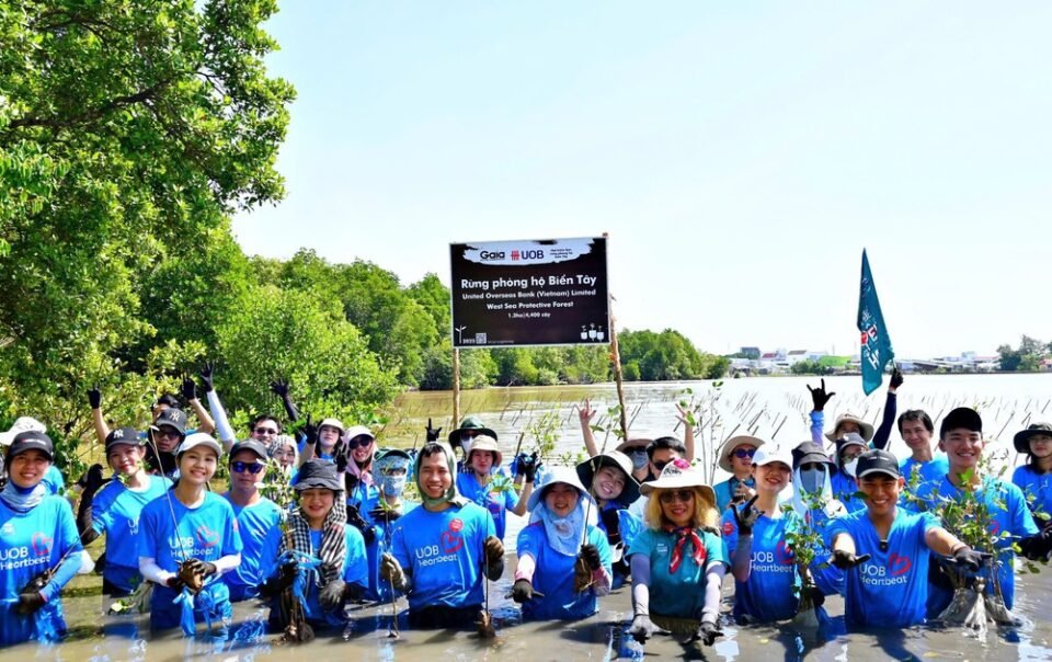 uob-viet-nam-khoi-dong-trong-10.000-cay-rung-phong-ho-ca-mau