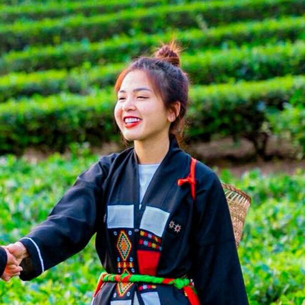 muon-doi-che-xanh-bat-ngat,-vuon-tre-tit-tap-de-‘cau’-khach-du-lich