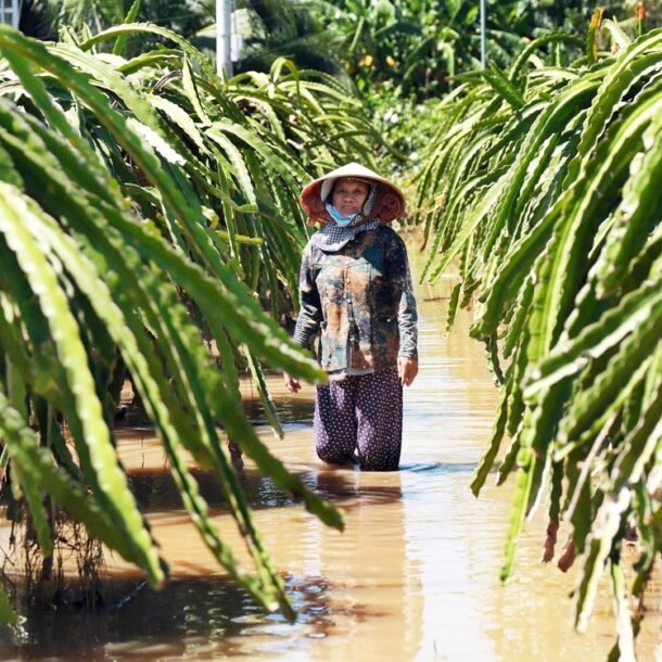 dan-thiet-hai-nang-vi-ho-xa-lu,-cong-ty-khong-co-tien-den