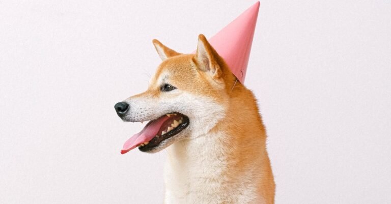 dogecoin’s-dozen-years:-king-of-meme-coins-marks-12th-birthday-in-rough-markets