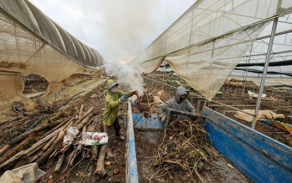 no-luc-giu-gia-hang-tet