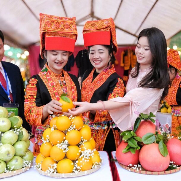 tu-vung-vai-thieu,-nong-dan-bac-ninh-‘quay-xe’-trong-cam,-buoi-vietgap-thu-tien-ti