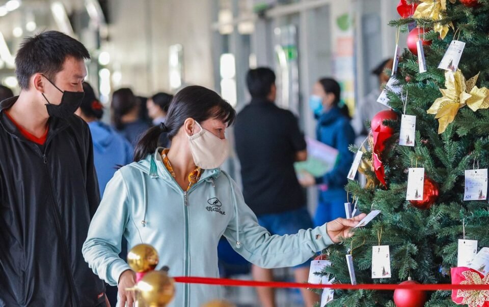 tren-cay-thong-noel-nay,-moi-tam-thiep-la-mot-mong-uoc-nho