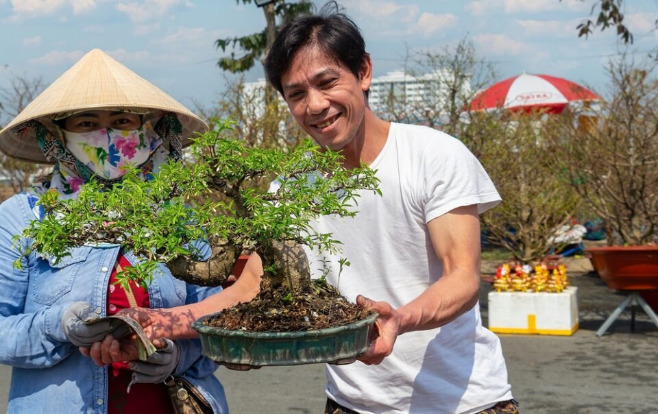 cho-hoa-xuan-binh-dien-binh-ngo-2026:-diem-den-sac-xuan,-vui-tet,-mua-sam-hap-dan