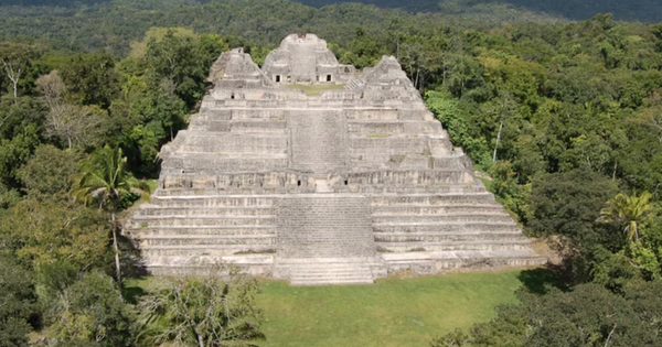 nhung-ph&aacute;t-hien-khao-co-g&acirc;y-chan-dong-the-gioi-nam-2025