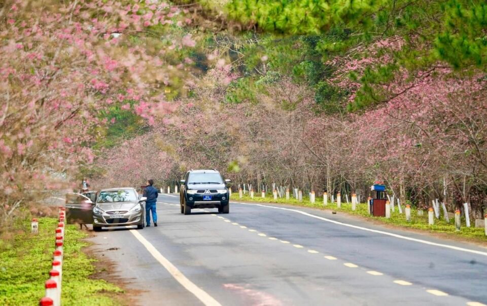 tet-duong-lich-2026,-mang-den-da-kin-phong,-nhung-du-khach-van-con-lua-chon