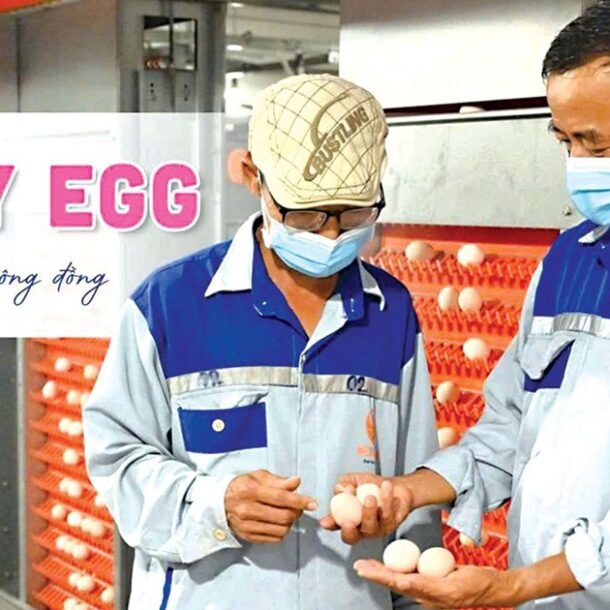 mebi-group-–-hanh-trinh-tu-chuan-muc-den-he-sinh-thai-nong-nghiep-ben-vung