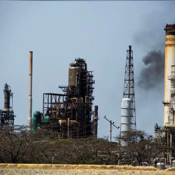 ong-trump-tiet-lo-venezuela-chuyen-giao-50-trieu-thung-dau-cho-my