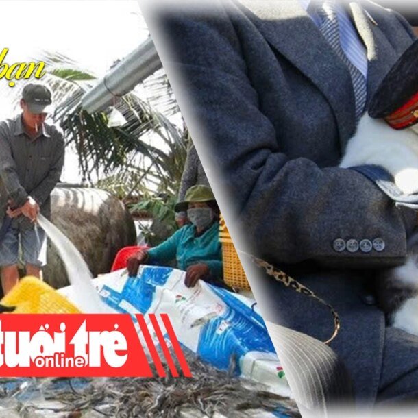 diem-tin-8h:-nguoi-nuoi-tom-trung-manh-dip-can-tet;-nhat-ban-bo-nhiem-meo-lam-truong-ga-tau