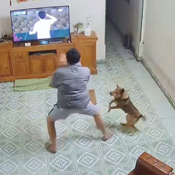 chu-cho-‘chiem-song’-khi-nhay-cang-an-mung-ban-thang-cua-dinh-bac-doi-u.23-viet-nam