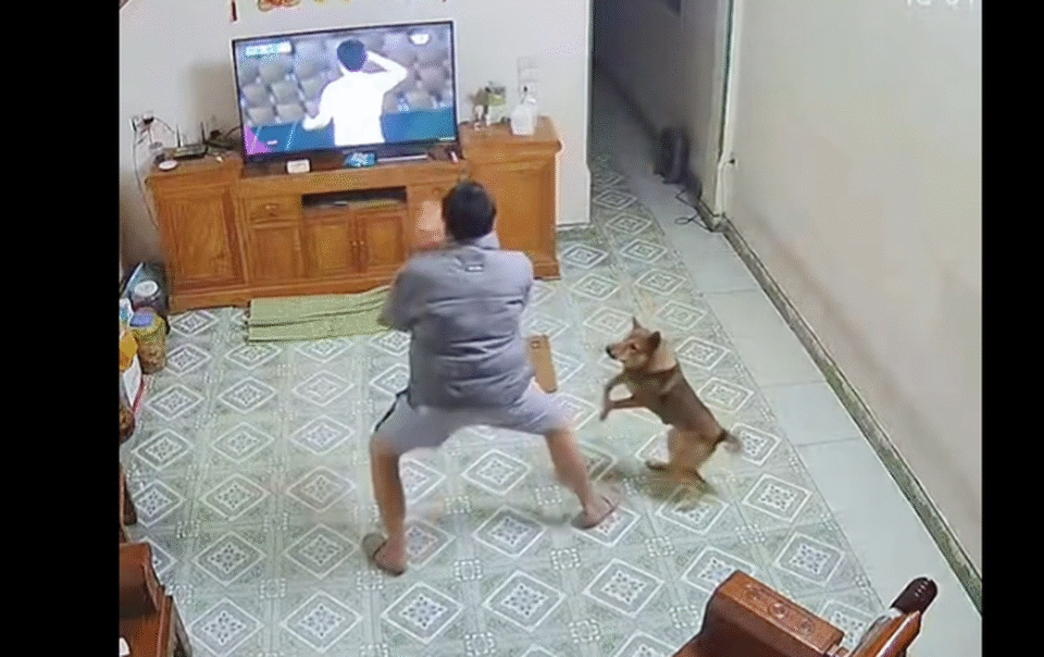 chu-cho-‘chiem-song’-khi-nhay-cang-an-mung-ban-thang-cua-dinh-bac-doi-u.23-viet-nam