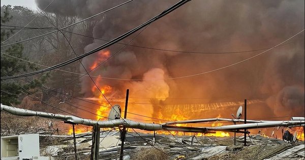 khu-o-chuot-cuoi-c&ugrave;ng-giua-l&ograve;ng-gangnam-ch&igrave;m-trong-bien-lua