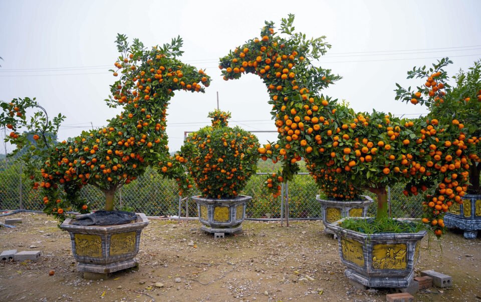 quyt-co-chu-sa-hinh-ngua-gia-40-trieu-dong-van-'chay-hang'-truoc-tet