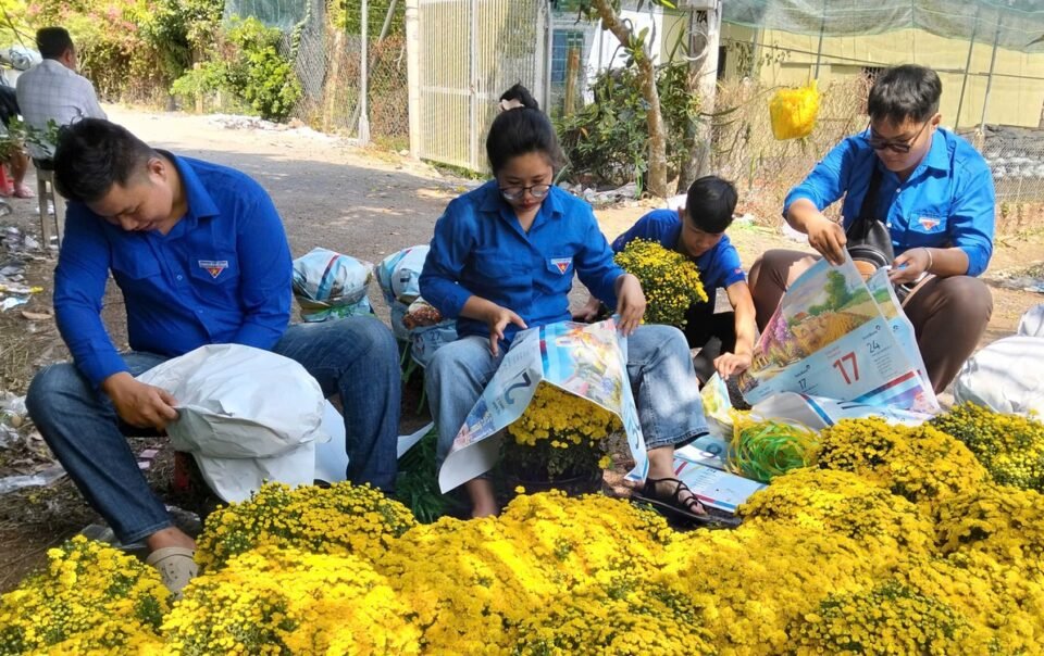 nguoi-trong-cuc-mam-xoi-o-mien-tay-no-luc-dua-hoa-ra-cho-tet-som