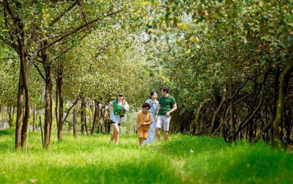 ‘doi-gio’-cuoi-tuan-cho-gia-dinh-tai-khu-du-lich-xanh-50ha