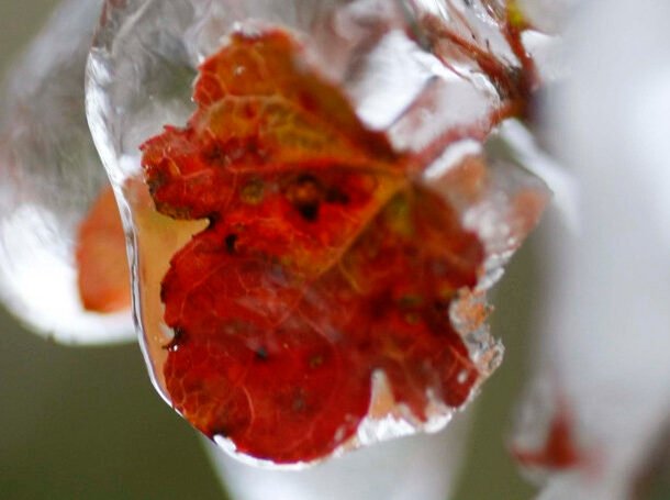 tin-khong-khi-lanh-moi-nhat:-mien-bac-ghi-nhan-hang-loat-diem-duoi-10-do