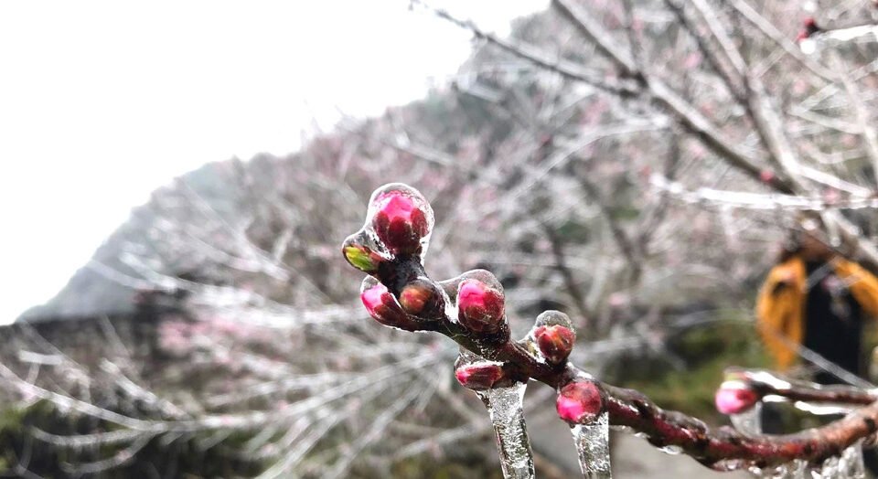 ret-nhat-tu-dau-mua-dong,-mien-bac-co-noi-0,1-do