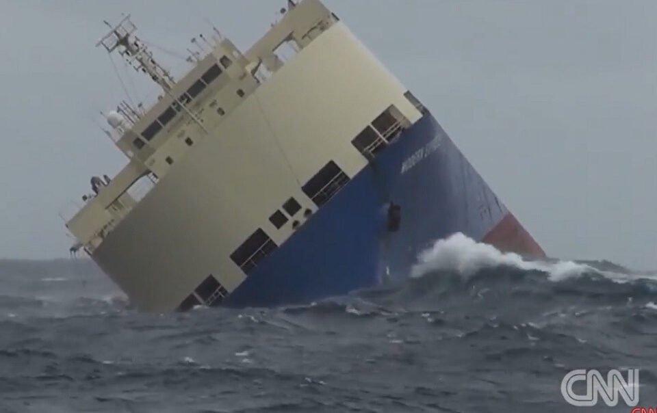 chim-pha-cho-hon-350-nguoi-o-mien-nam-philippines