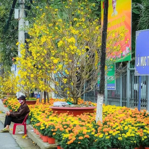 tet-nguyen-dan-2026:-khanh-hoa-cho-phep-ban-hoa-tet-tren-via-he