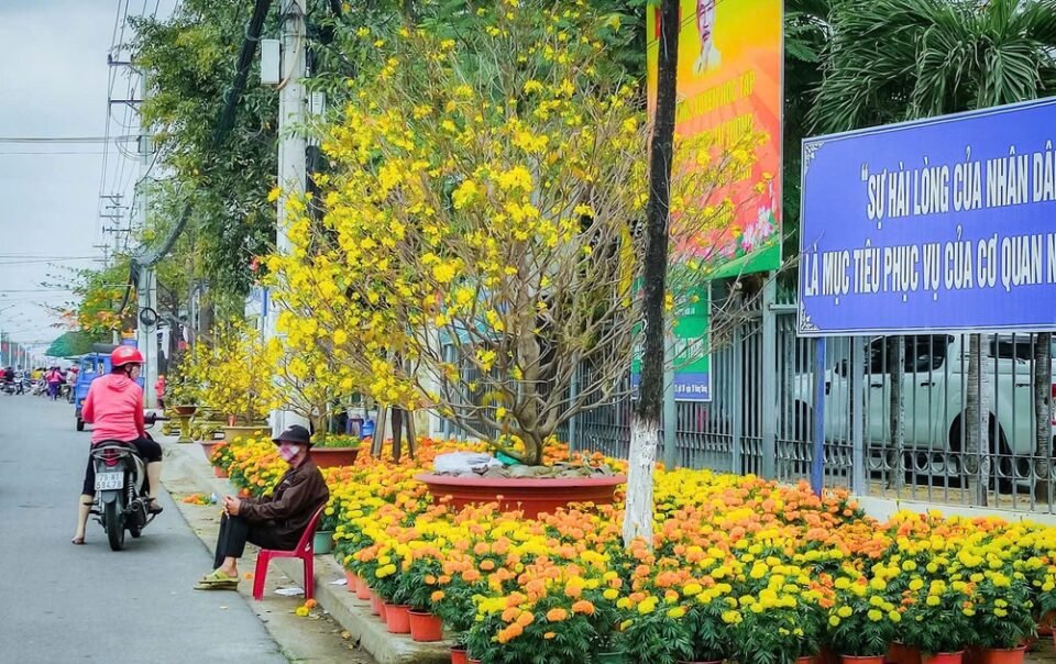 tet-nguyen-dan-2026:-khanh-hoa-cho-phep-ban-hoa-tet-tren-via-he