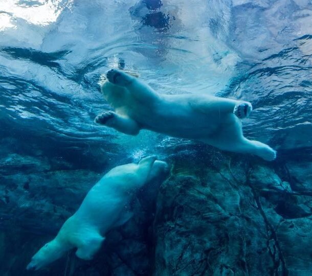 bitcoin-pulls-back-to-as-low-as-$81,000-as-horrendous-day-continues