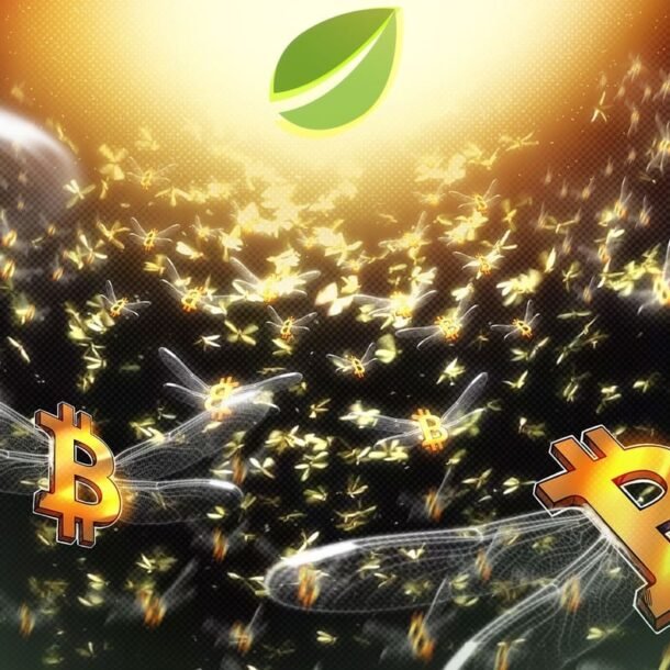 bitfinex-bitcoin-longs-hit-2-year-high:-is-a-rally-to-$100k-possible?