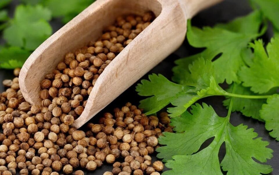 hom-nay-la-ngay-quoc-te-‘ghet-rau-mui’