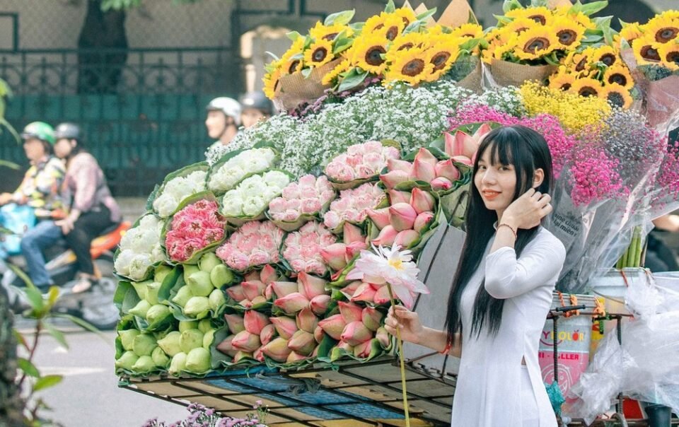 ly-do-du-khach-anh-tim-kiem-chuyen-bay-den-ha-noi-tang-vot