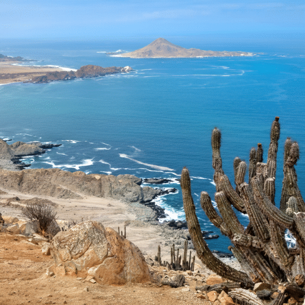 vi-sao-nhieu-sa-mac-lai-giap-dai-duong?