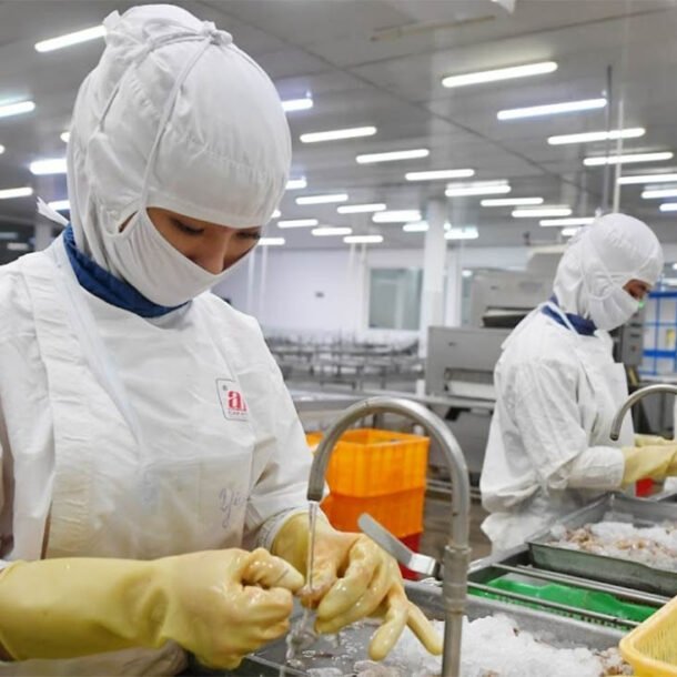 vang-tang-phi-ma-truoc-xung-dot-my-israel-voi-iran;-the-manh-viet-don-tin-vui